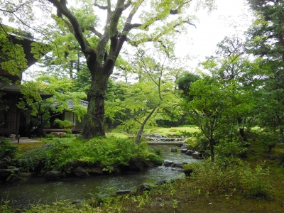 雨の日には　雨の中を