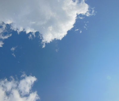 植物園の空